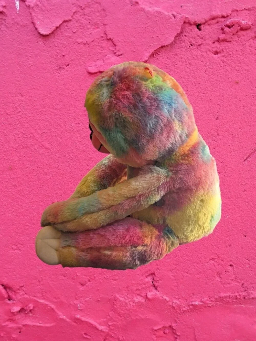 Rainbow 23